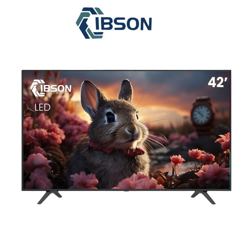 Téléviseur Ibson 42" LED IB42FT1002